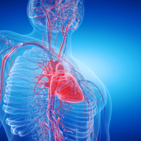 Vascular image resources
