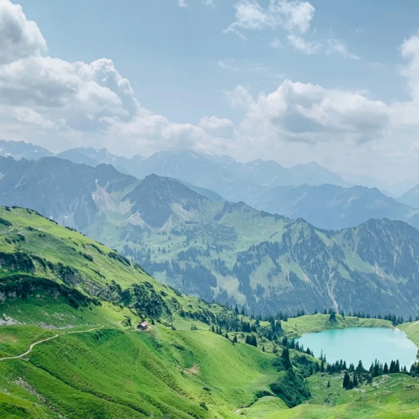 evertreen_Germany