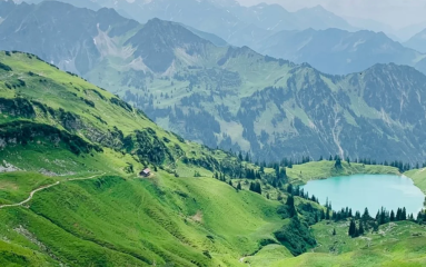 evertreen_Germany