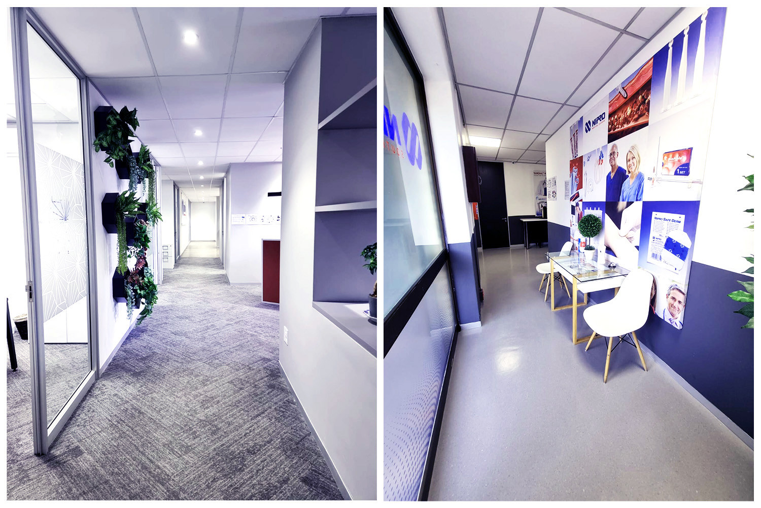 Nipro Medical - South Africa Office Photo Gallery