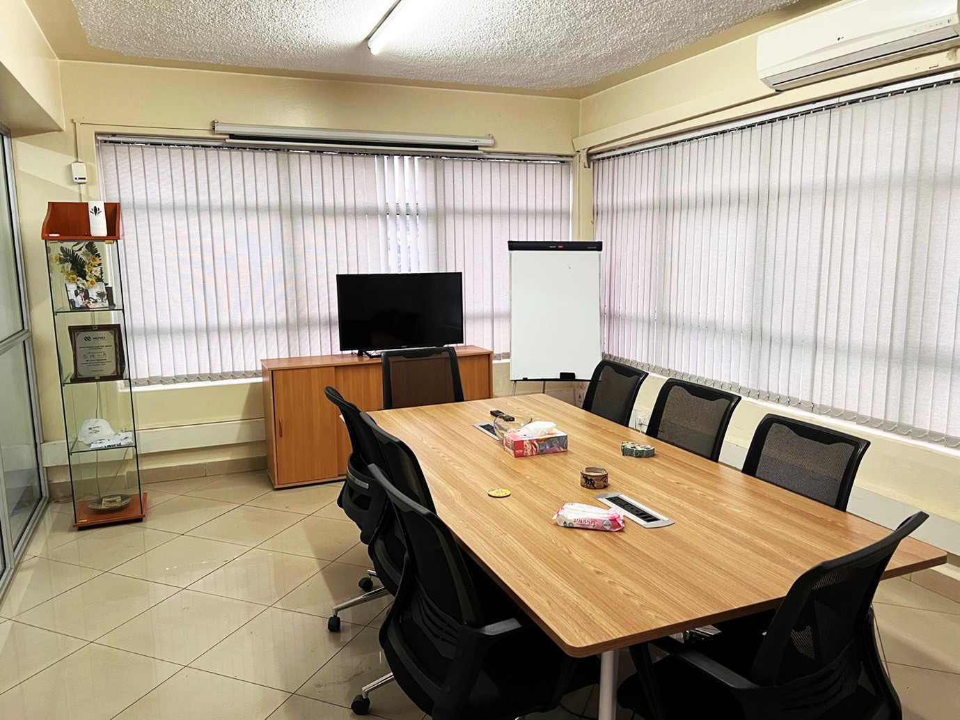 Nipro Medical Kenya